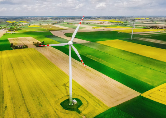 L'éclairage LED : une solution écologique