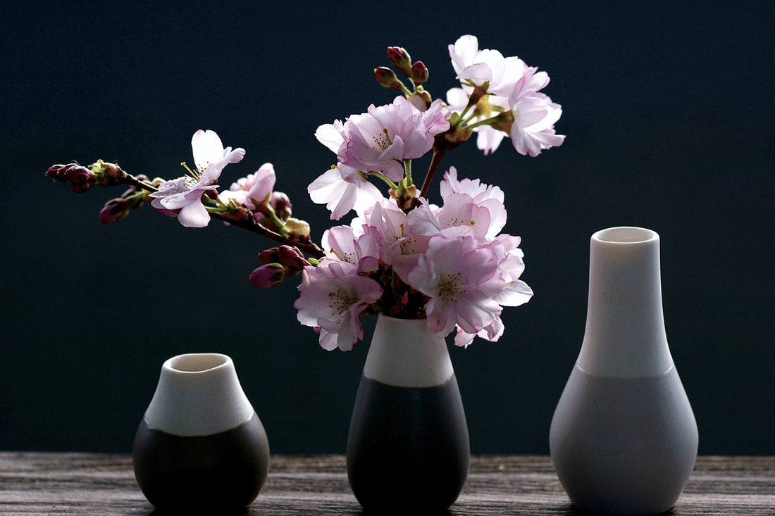 Décoration : l'importance des vases dans votre intérieur
